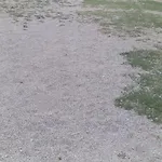 Mira