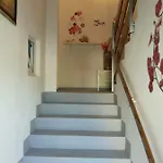 Mira Jadrtovac