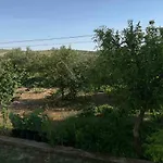 Mira