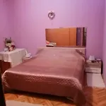 Mira