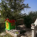 Mira Jadrtovac
