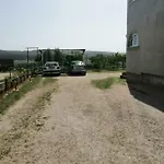 Mira Jadrtovac