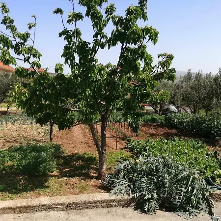 Apartment Mira Jadrtovac