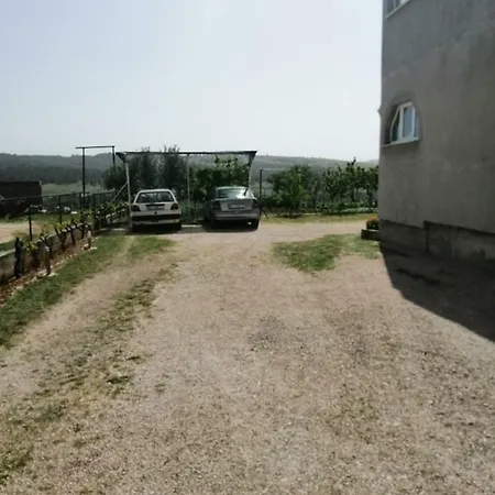 Mira Jadrtovac